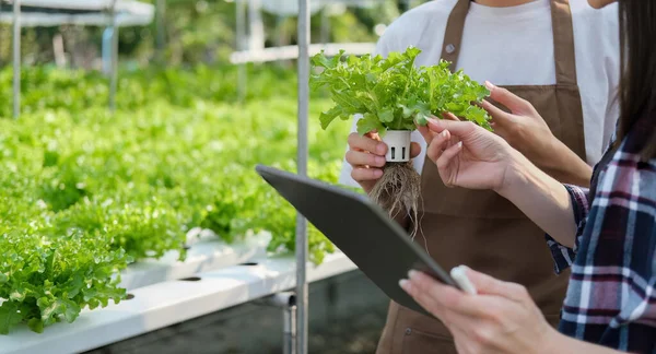 Mannelijke Vrouwelijke Landbouw Met Behulp Van Tablet Kas Tuin Biologische — Stockfoto