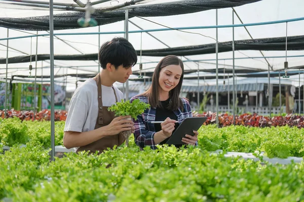 Mannelijke Vrouwelijke Landbouw Met Behulp Van Tablet Kas Tuin Biologische — Stockfoto
