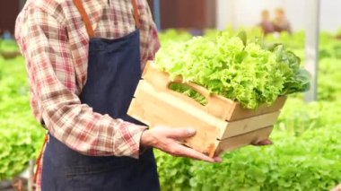 Erkek çiftçi kadın müşteriye bir kutu taze sebze getiriyor. Küçük organik sebze çiftliği..