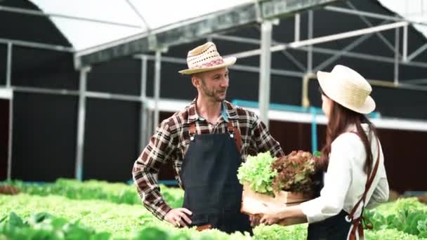 Asiatique Couple Agriculteurs Travaillent Dans Ferme Légumes Hydroponique Avec Bonheur — Video