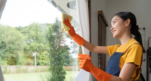 Genç Asyalı Hanımı Pencere Camlarını Paçavra Deterjan Spreyiyle Temizliyor Hafta — Stok fotoğraf