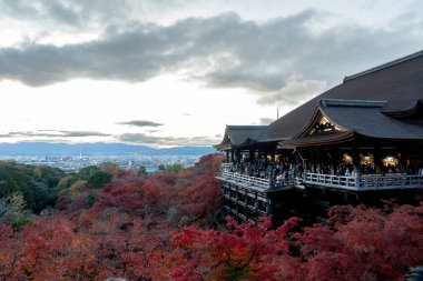 Kyoto, Japonya, NOV 30, 2023, Kyoto 'daki Kiyomizu-dera tapınağı.