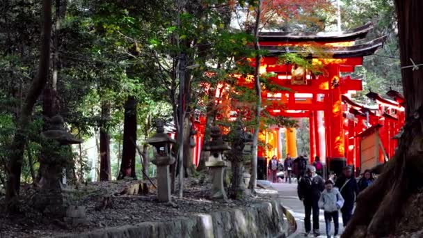 Кіото Японія Грудня 2023 Фушімі Інарі Таїша Туристи Фушімі Інарі — стокове відео