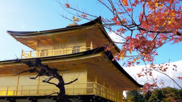 Farbenfroher Herbst Mit Kinkakuji Tempel Goldener Pavillon Kyoto Japan — Stockvideo