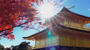 Kyoto, Japonya 'daki Kinkakuji Tapınağı Altın Çadırı ile Renkli Sonbahar.