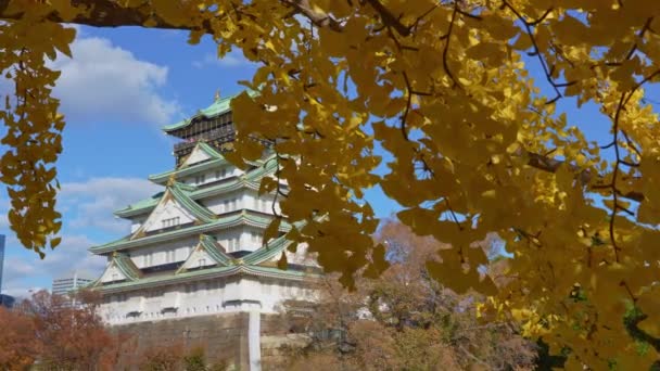 오사카 12월 2023 가을철에는 잎이나 단풍이 오사카성 다채로운 교토시 간사이 — 비디오