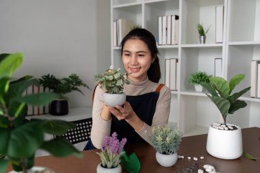Genç Asyalı bir kadın çiçek saksısını yeşil bir bitki eviyle tutarak gülümsüyor ve oturma odasına bakıyor. Ev bahçesi kavramı. Ev bitkileriyle ilgileniyorum..
