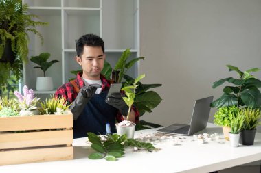 Bir bahçıvan bitki bakım stratejilerini geliştirmek için dijital araçlar kullanır, bahçıvanlık ve çevre yönetimi alanlarında modern yaklaşımları ifade eder.