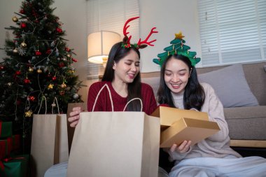 Neşeli bir lezbiyen çift, Noel ağacının altında birbirlerine Noel hediyelerini verip, aşkı ve çeşitliliği kutluyorlar..