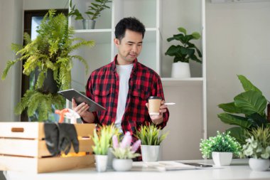 Modern bir ofis ortamında dijital iletişimi ve bitki düzenlemelerini dengeleyerek bir bitki düzenleyici çoklu görevler.