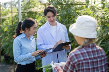 Uzmanlar bir sera ortamında yenilikçi esrar yetiştirme teknikleri üzerinde işbirliği yapmaktadırlar.