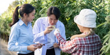 İki esrar araştırmacısı bitki örneklerini birlikte inceleyerek bulgularını canlı bir sera ortamında paylaşıyorlar..