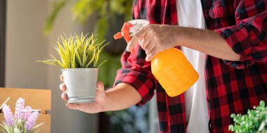 Kırmızı kareli gömlekli genç bir adam saksı bitkisine su püskürtür, doğal elementlerle süslenmiş şık bir kapalı alanda yeşillik yetiştirir..