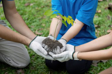 Gönüllü bir aile ellerini küçük bir fidanın etrafında birleştiriyor. Ağaç dikmeye ve çevreyi kurtarmaya olan bağlılıklarını gösteriyorlar..