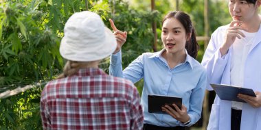 Çeşitli araştırmacılar sera ortamında bir bahçıvanla esrar yetiştirme tekniklerini tartışıyor..