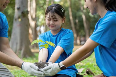 Üç hevesli genç gönüllü, sürdürülebilir bahçıvanlık projeleri üzerinde çalışırken küçük bir fidanın etrafında toplanıp takım çalışması yapıyorlar..