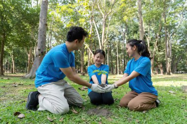 Adanmış gönüllüler, yerel bir parka genç ağaçlar dikerek sürdürülebilirliği desteklemek, takım çalışması ve doğaya olan bağlılıklarını göstermek için birlikte çalışıyorlar..