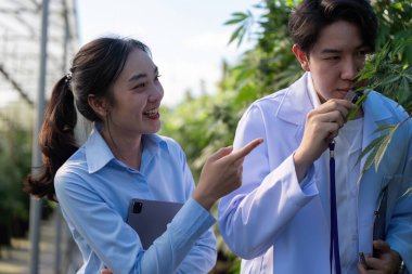 Bir araştırmacı, esrar bitkilerinin özelliklerini bir seradaki bir meslektaşına açıklayarak, esrar yetiştirmenin eğitici yönlerini vurguluyor.