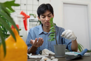 Bir bahçıvan, bitki bakımında bilgi ve teknikler sergileyerek genç bir bitkiyi teftiş ederken, bahçıvanlık faaliyetlerinde sürdürülebilirlik sağlar..