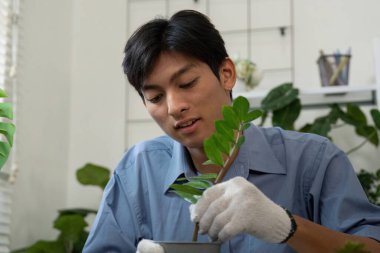 Odaklanmış bir niyetle, bir kişi, doğayla ve çevre yönetimi arasındaki bağlantıyı vurgulayan çevre dostu bahçıvanlık uygulamaları kullanarak bir çömleğe genç bir bitki yerleştirir..