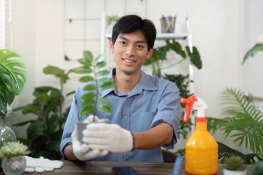 Sağlıklı bir saksı bitkisinin sunumunu yaparken, bireysel kirişler yeşilliği beslemenin ve sürdürülebilir bir yaşam tarzı sürdürmenin sevincini vurgular..