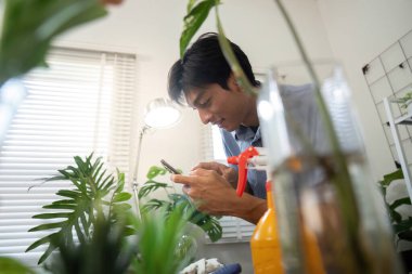 Bu resim, ZZ fabrikasıyla ilgilenirken, sürdürülebilirliğin bahçıvanlığa entegrasyonunu yansıtan dijital bitki araştırmalarıyla yakından ilgilenen bir insanı gösteriyor..