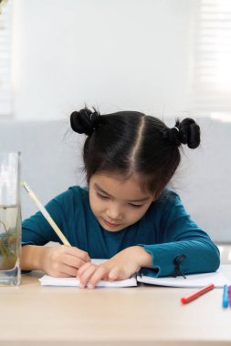 Kendini işine adamış bir kız evde çalışırken defterine yazarak öğrenme ve yaratıcılığa olan bağlılığını vurguluyor..