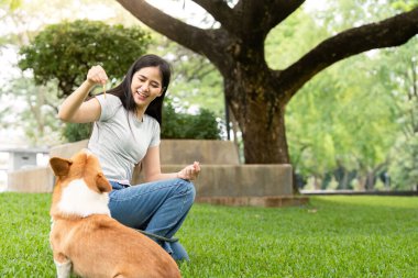 Bir kadın, yemyeşil bir parkta antrenman yaparken korgisini ödüllendirirken gülümser ve evcil hayvan arkadaşlığının sevincini vurgular..