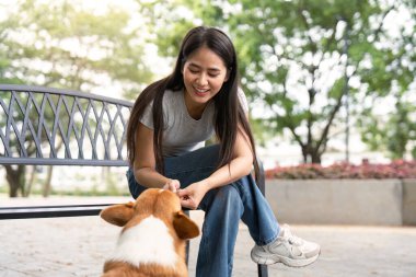 Bir kadın, Corgi köpeğiyle oynaşmaktan zevk alır. Güzel bir park ortamında sevgi dolu bağlarını gösterir..