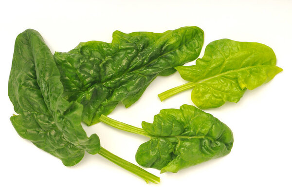 Fresh raw organic spinach leaves on a white background