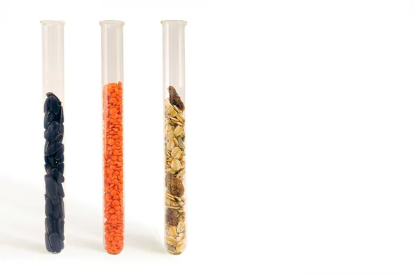 Food Cereals Test Tubes White Background — Stock Photo, Image