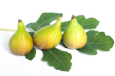 Fresh and tasty green figs on a leaf, on a white background
