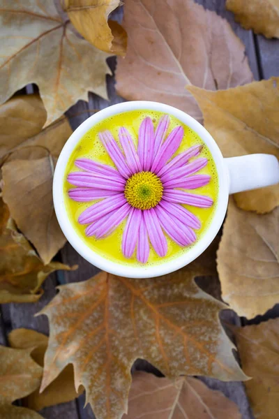 Golden milk in a white cup decorated with a pink daisy. Anti-inflammatory drink. Golden milk with autumn leaves background.