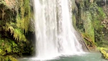 İspanya 'daki Zaragoza' daki Taş Manastırı. Zaragoza 'daki doğal park, huzur cenneti, dinlenmek için ideal bir yer..