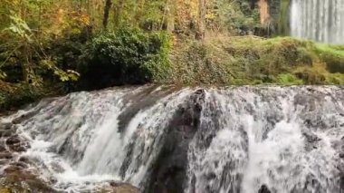 İspanya 'daki Zaragoza' daki Taş Manastırı. Zaragoza 'daki doğal park, huzur cenneti, dinlenmek için ideal bir yer..
