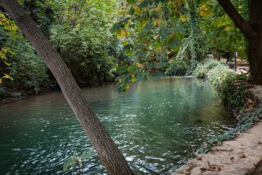 İspanya, Zaragoza 'daki Manastır de Piedra' da Şelale