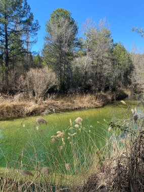 Castilla la la Mancha, İspanya 'nın Guadalajara eyaletindeki Caamares nehri kıyısındaki Caamares plajı.