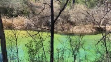 Caamares Sahili, İspanya 'nın Castilla la la Mancha bölgesindeki Cuenca eyaletinin Caamares Nehri kıyısında.