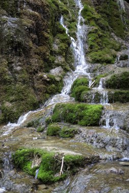 İspanya 'nın Castilla la la Mancha bölgesindeki Cuervo nehrinin kaynağı