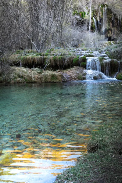 Zdroj Řeky Cuervo Provincii Cuenca Kastilii Mancha Španělsko — Stock fotografie