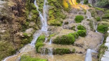 İspanya 'nın Castilla la la Mancha bölgesindeki Cuervo nehrinin kaynağı