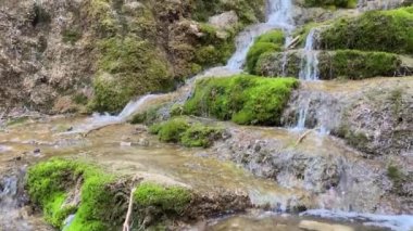 İspanya 'nın Castilla la la Mancha bölgesindeki Cuervo nehrinin kaynağı