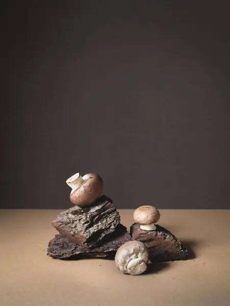 具有棕色背景的树皮上的波特贝洛蘑菇 — 图库照片