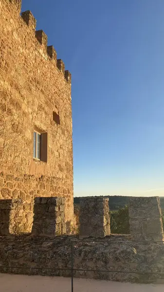 ピアロヤ城は アルマジラ アルバ カスティーリャ マンチャ スペインの自治体に位置する要塞です — ストック写真