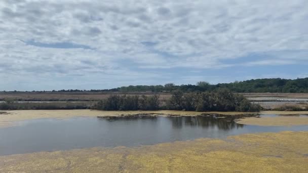 Salinas Parc Naturel Marin Estuaire Gironde Mer Des Pertuis Con — Vídeo de stock