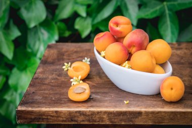 Bahçedeki ahşap bir masada olgun kayısılarla beyaz seramik kase.