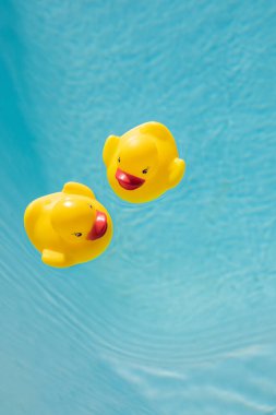 Havuzda yüzen iki sarı lastik ördek.