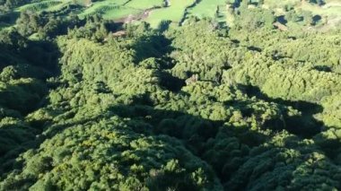 So Miguel, Azores 'deki Sete Cidades' in hava aracı görüntüleri.