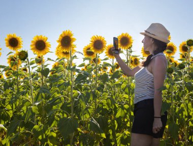 Güneşli bir günde İspanya 'nın Burgos kırsalında bir ayçiçeği tarlasının güzelliğini yakalayan bir kadın..