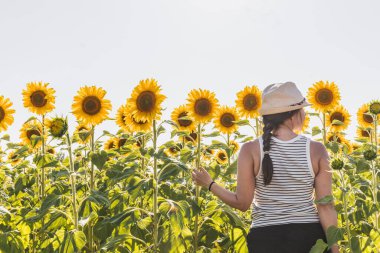 İspanya, Burgos 'ta güneşli bir gökyüzünün altında ayçiçeği tarlasının güzelliğinin tadını çıkaran bir kadın.